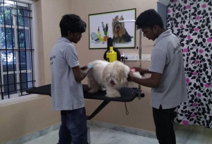 59b8b381af80b90da4f066e3