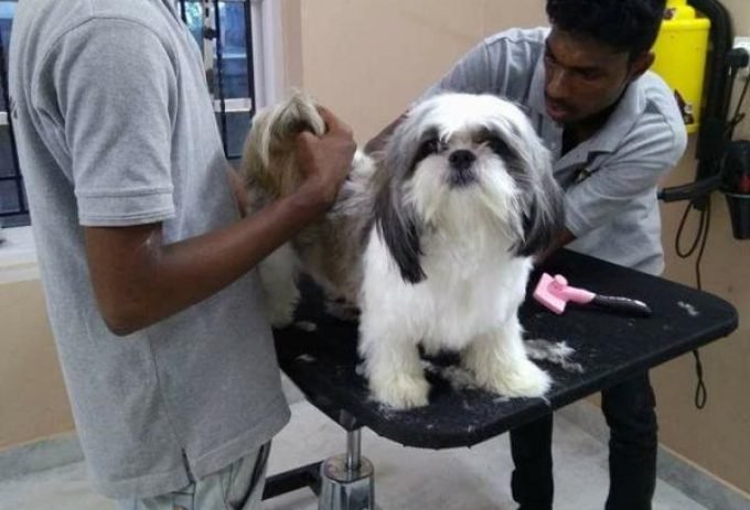 59c3693010fcca0554711308