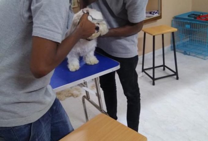 59c37577c32b930a5470f618